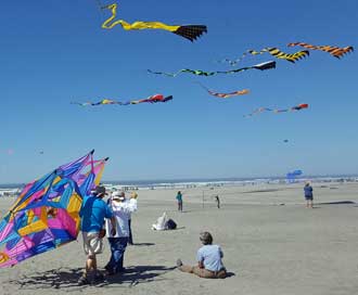 Turns out an international kite festival is happening in Long Beach