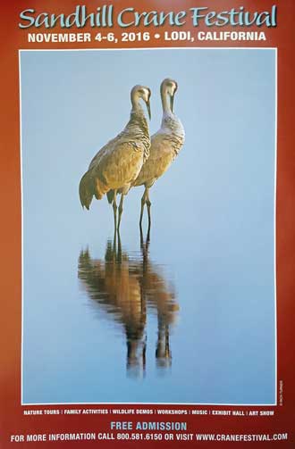 The Sandhill Crane Festival is an annual event in Lodi