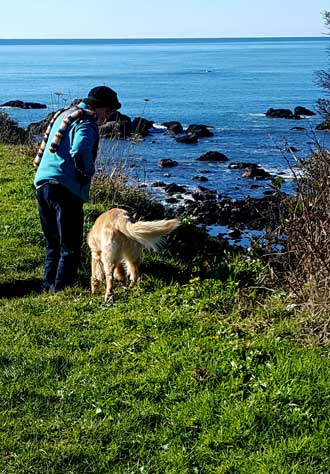 Walk to McVay Rock State Park (pebble beach)