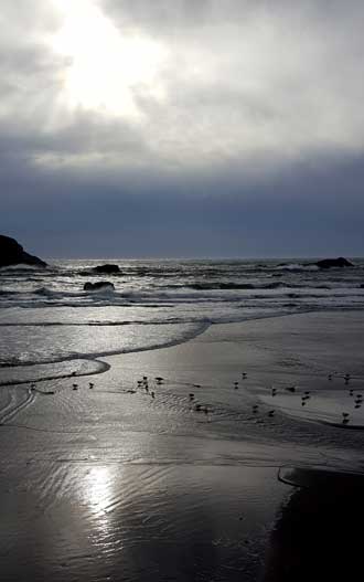 Looking west over the Pacific