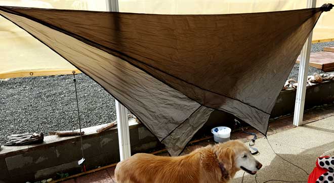 Testing my hammock system, this is the rain fly, hammock is behind