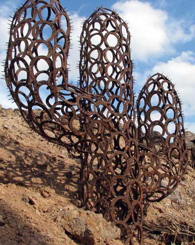 Horseshoe cactus