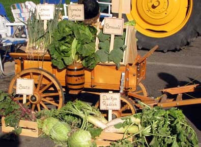 Lettuce Days in Yuma