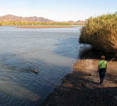 Morgan takes a swim in the Colorado River