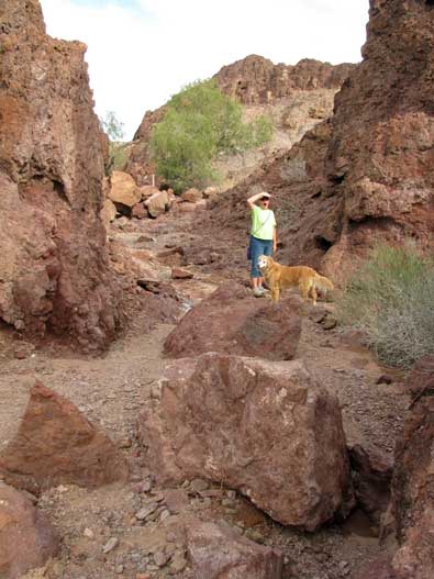 We hike the Painted Desert Trail in the Imperial National Wildlife Refuge