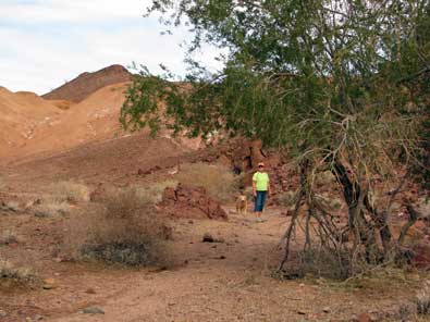 Hiking the Painted Desert Trail