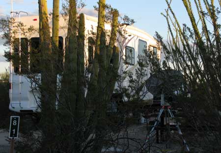 Organ Pipe national monument campground