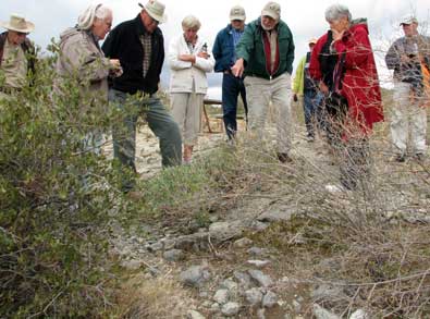 The group stops to check out the desert folage