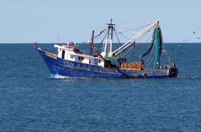 Local fishing boat