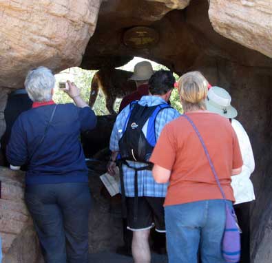 These folks are looking at a mountain lion perched over a pool