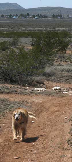 Hiking from the visitor center to the campground