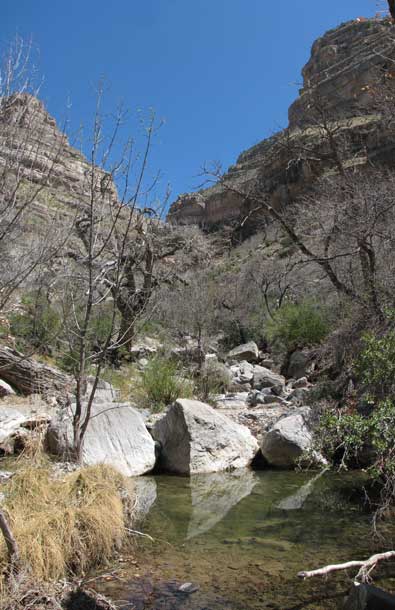 A spring is at the end of the canyon