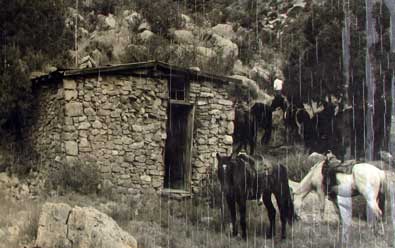 An historic photo of the Fairchild Line Cabin