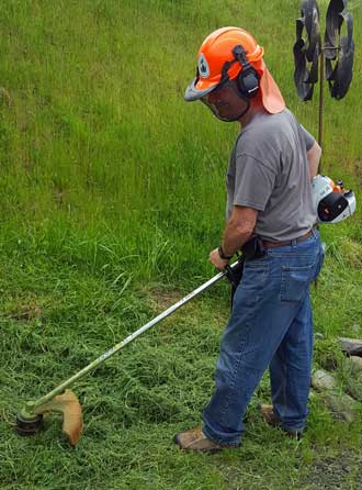 Weed whacking