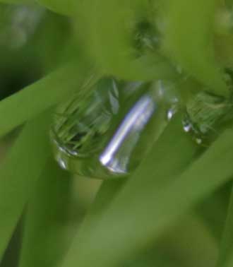 Water drop attempt