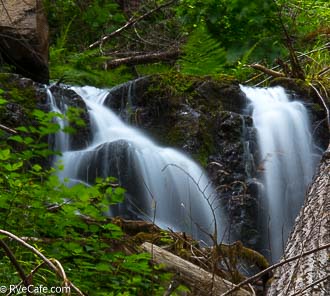 Fern Falls