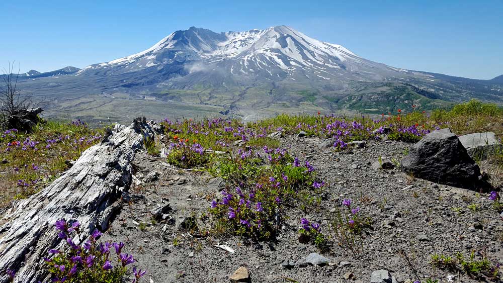 Mt. St. Helens