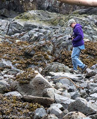 Gwen is negotiating the rocks