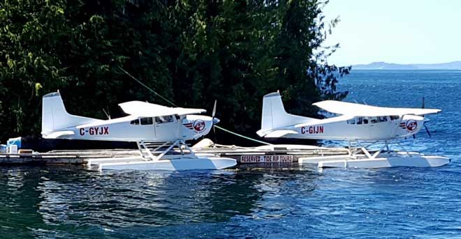 New visitors to Telegraph Cove