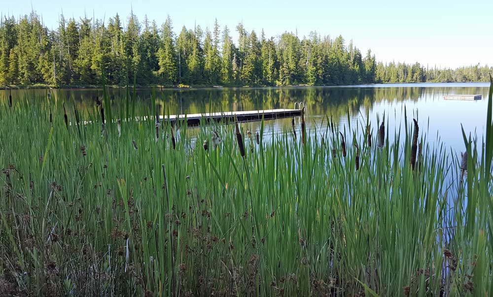 Beaver Lake at the junction to Port Alice