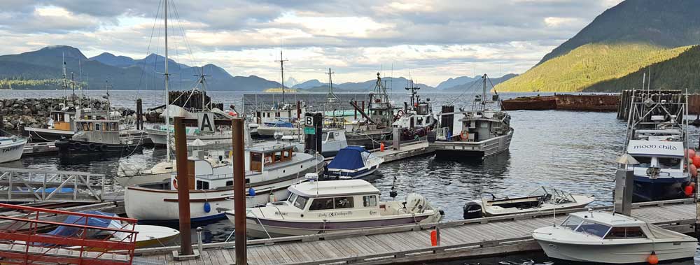 Sayward Harbor