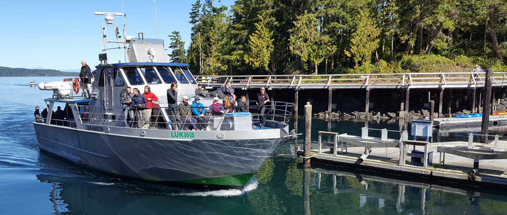 Stubbs Island Whale Watch