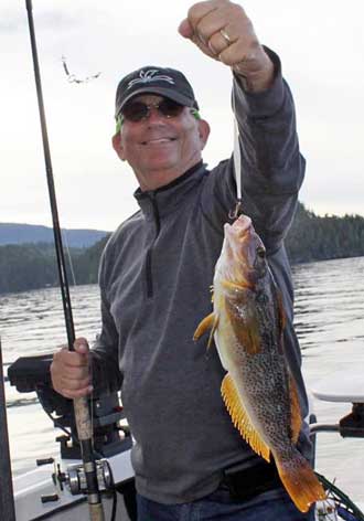 Learning to fish in the strait