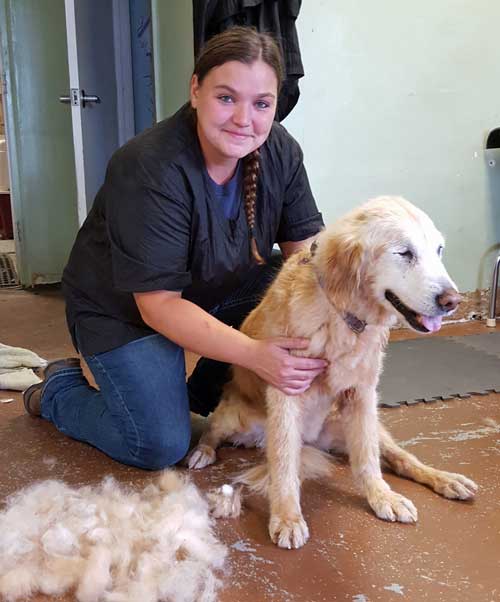 Tiffany groomed Morgan