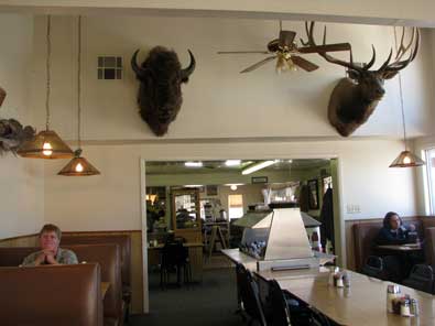 Animals hanging on the walls in Largo Cafe