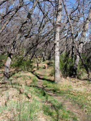 Hiking the trail with Morgan