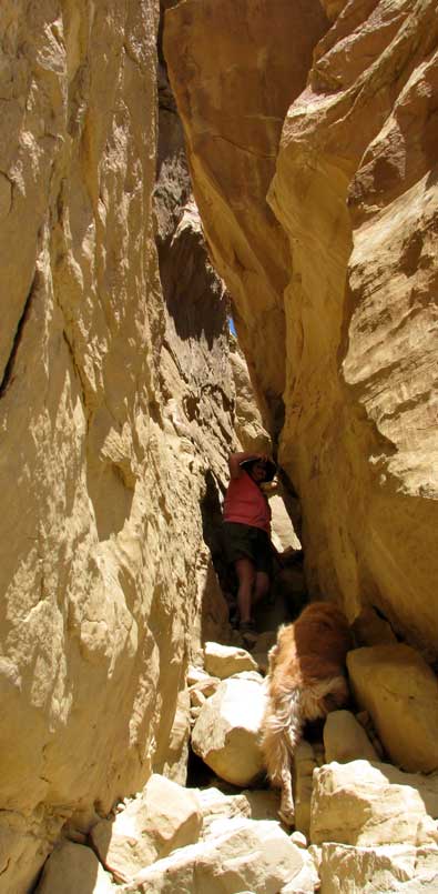 To get to the overview, we had to climb nearly straight up through a crevise in the rock. Yes, Morgan went along and was up to the challenge. I had to help her very little. 