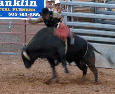I liked the bull riding the best
