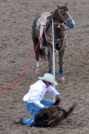 The calf roping looked difficult