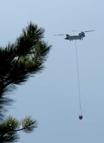 This may not be a good sign, it's flying near our campsite, apparently there is a fire nearby