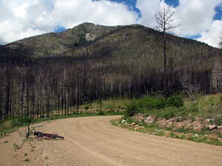 Manzano Mountains showing the recent forest fire