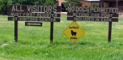 Entrance to Victory Ranch Alpaca Ranch, we parked outside the gate because Morgan was in the truck