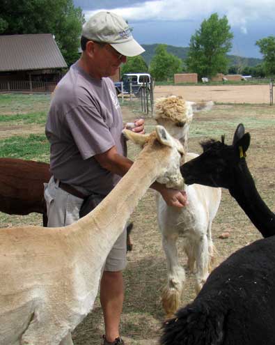 We took a tour of the ranch so we could get a close up view of the Alpacas