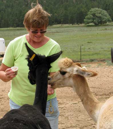 Gwen was shy at first but got the hang of Alpaca lips and teeth on her palm