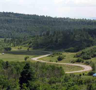 A mountain road leads to a 10,000 ft pass on it's way to Taos