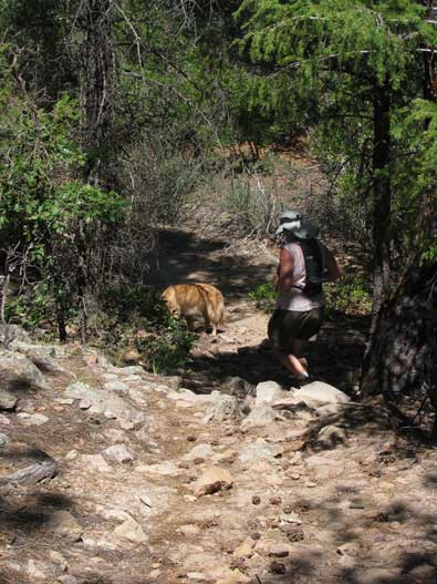 The trail was very rough at first with a rocky pathway