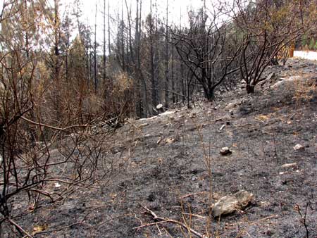 Bullard's Bar Dam Fire