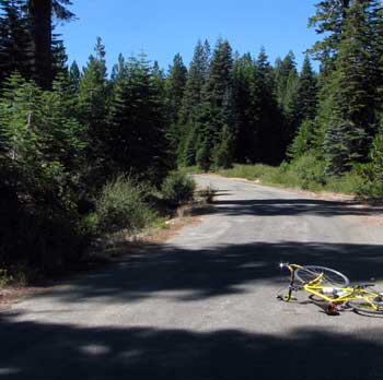 Single lane forest road climbing from hwy 49