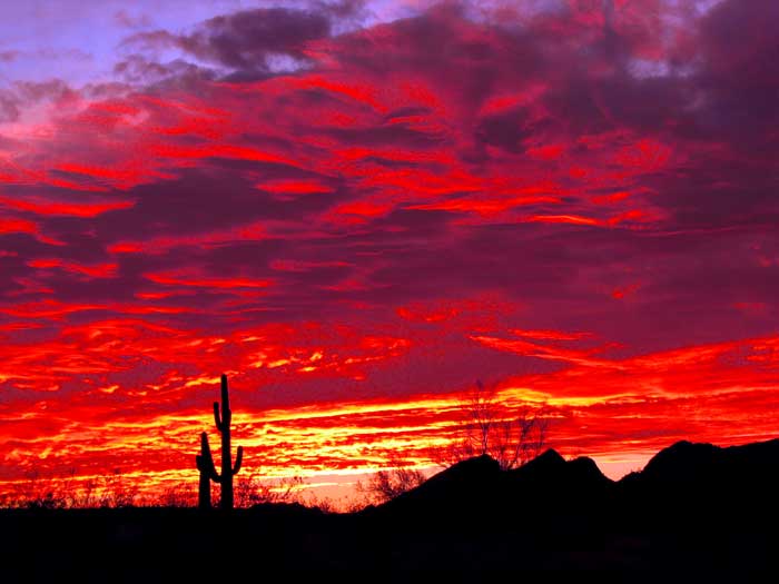 Arizona Sunset