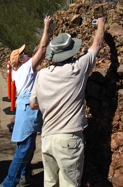 Taking pictures of tiny cactus in the conglomerate rock on the trail down the mountain