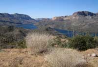 A view of Apache Lake