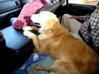 Morgan, are you comfortable between Ralph and me?