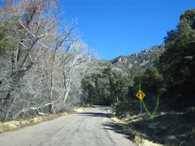 State Route 288 to Young, AZ