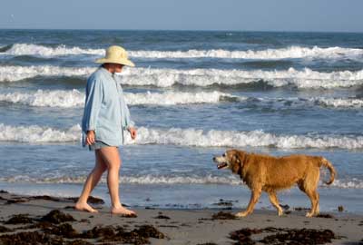 Walking Morgan in the surf