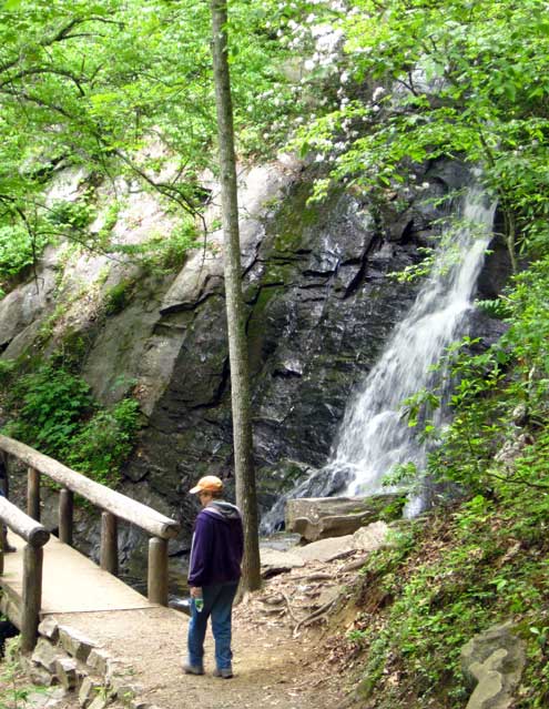 Hiking the Deer Creek Loop trail looking for waterfalls.