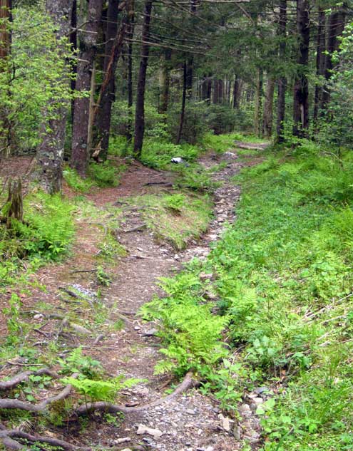 Indian Gap Road in use until 1930.